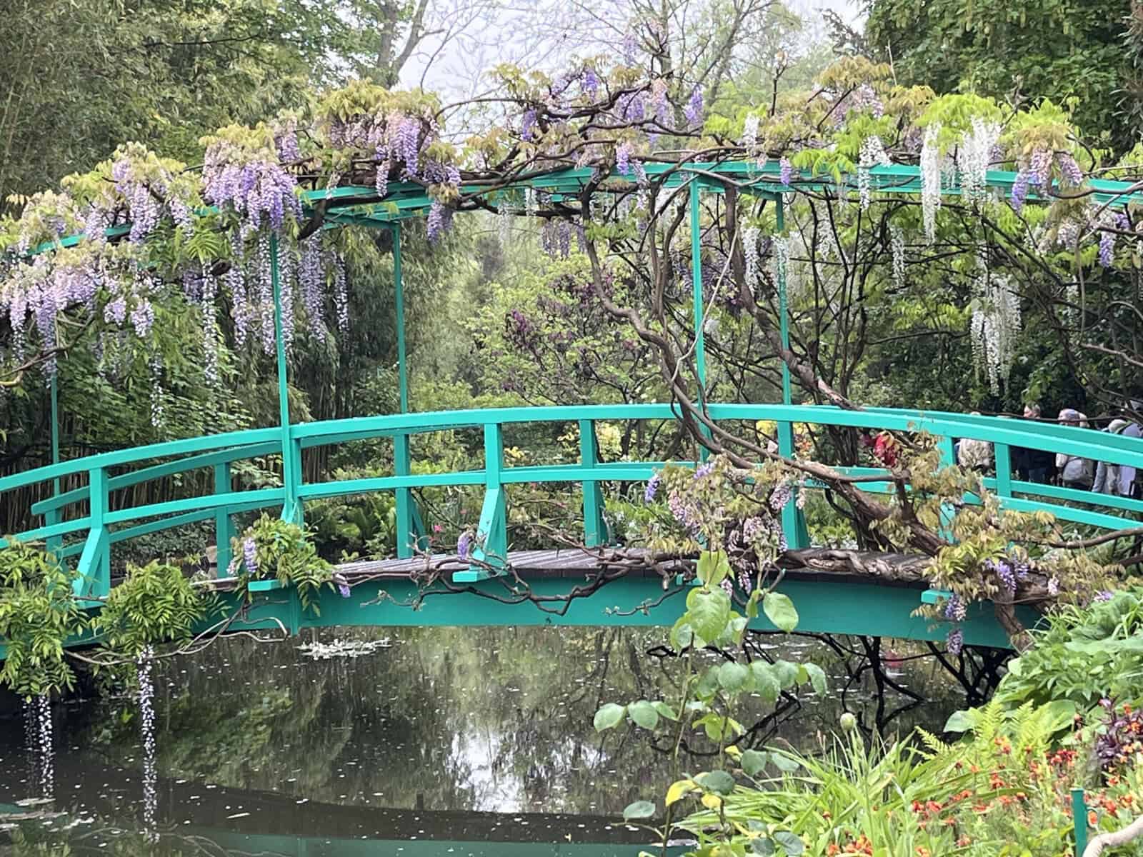 A turquoise arched footbridge crosses a quiet pond beneath cascading purple and white wisteria. Dense green foliage surrounds the bridge and reflects in the dark water.